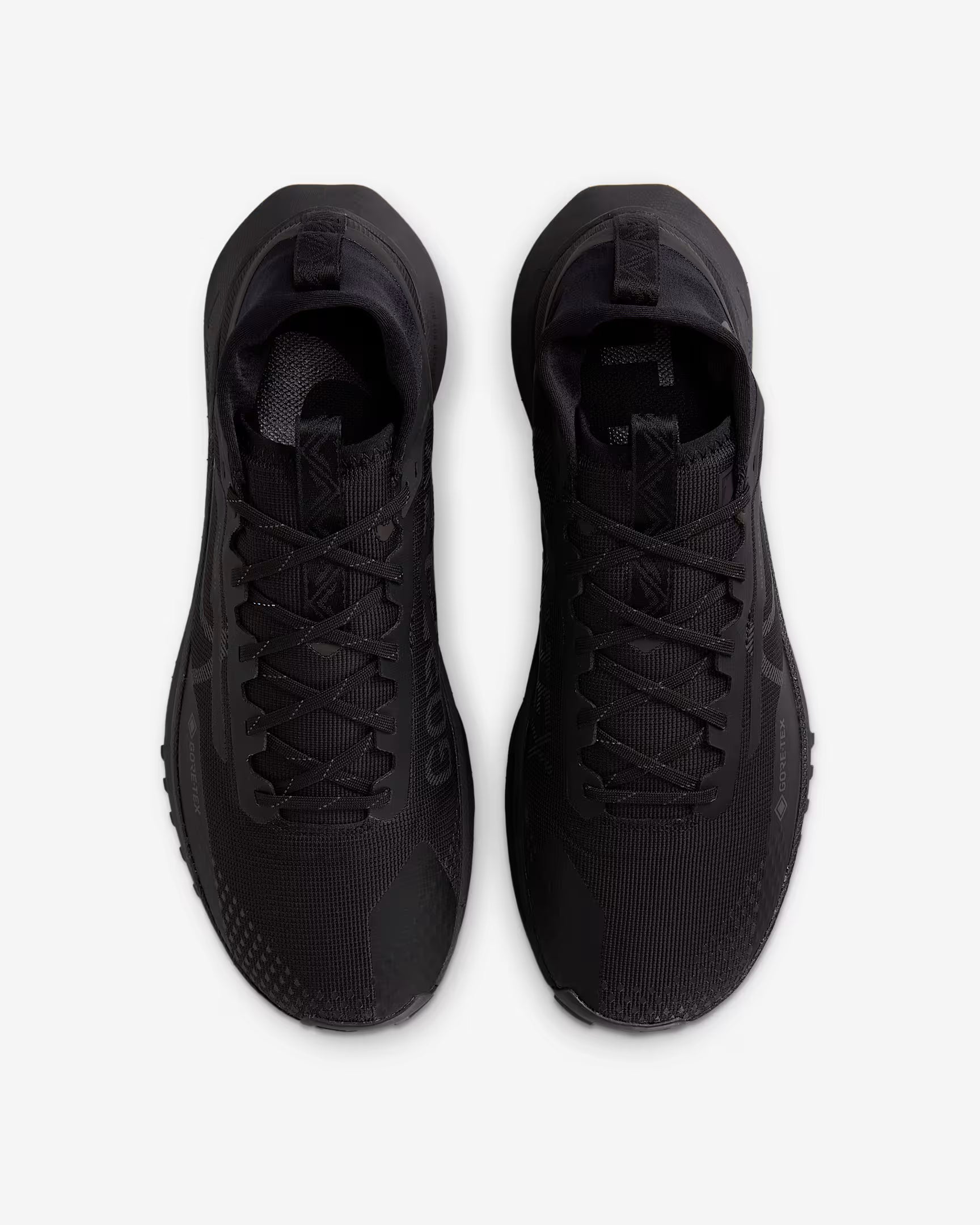 Nike Pegasus Trail 4 GORE-TEX Black