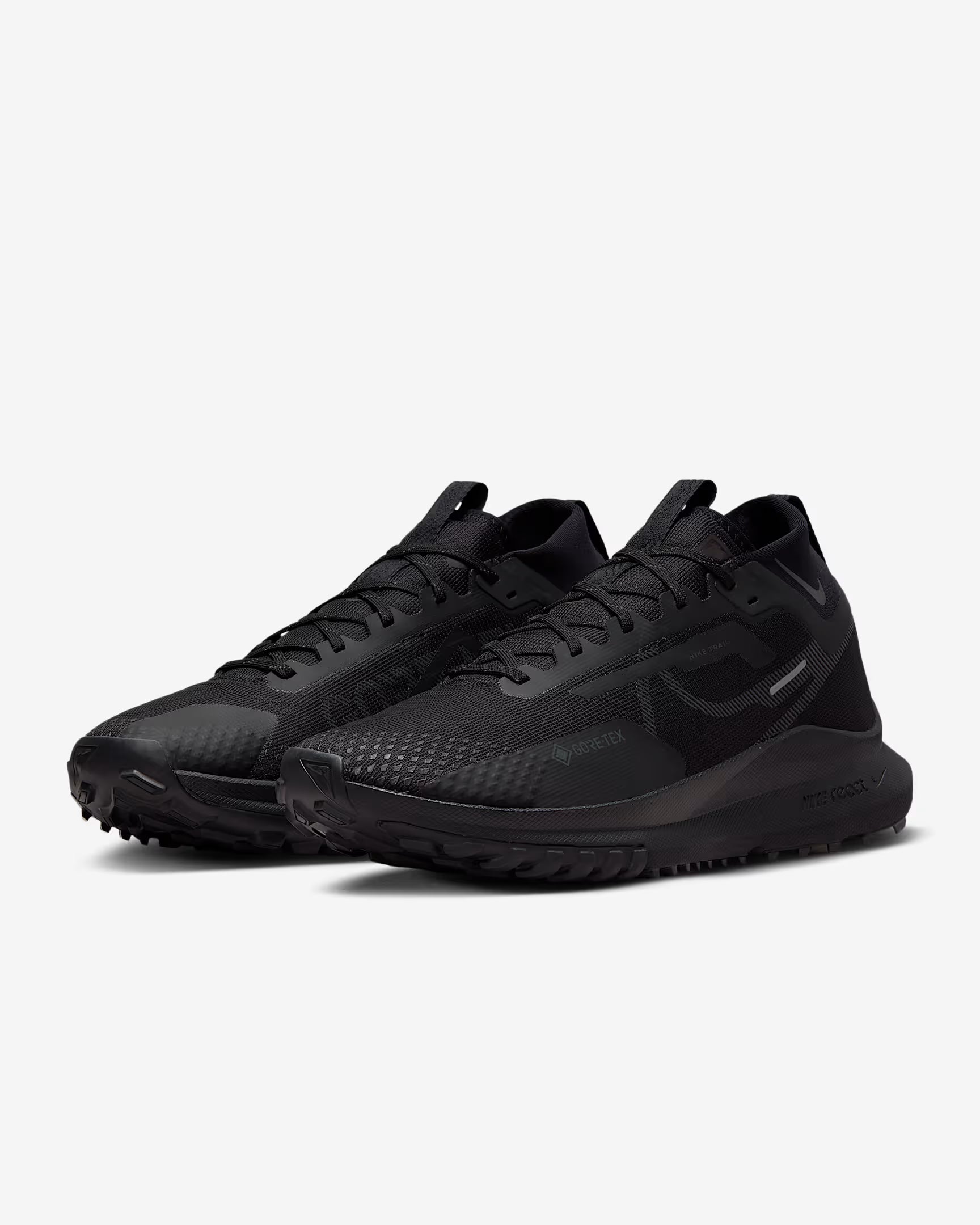 Nike Pegasus Trail 4 GORE-TEX Black