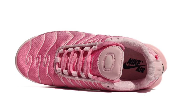 Air Max TN Plus Pink