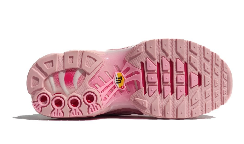 Air Max TN Plus Pink
