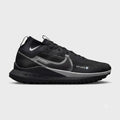 Nike Pegasus Trail 4 GORE-TEX BLACK Grey