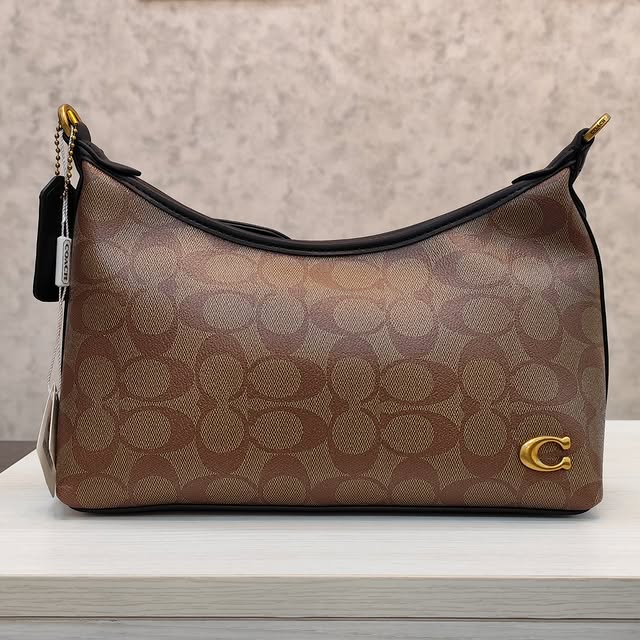 Coach Bags & Handbags