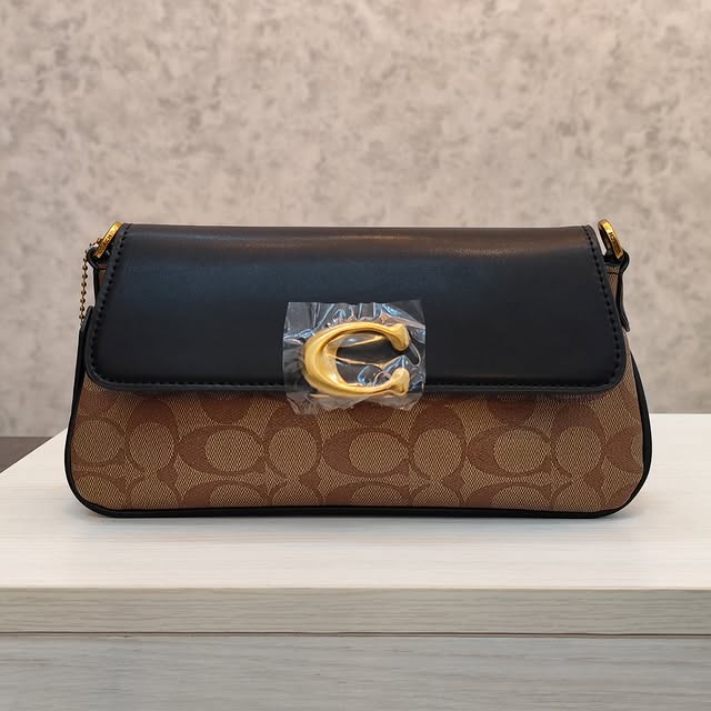 Coach Bags & Handbags