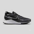 Nike Pegasus Trail 4 GORE-TEX Black