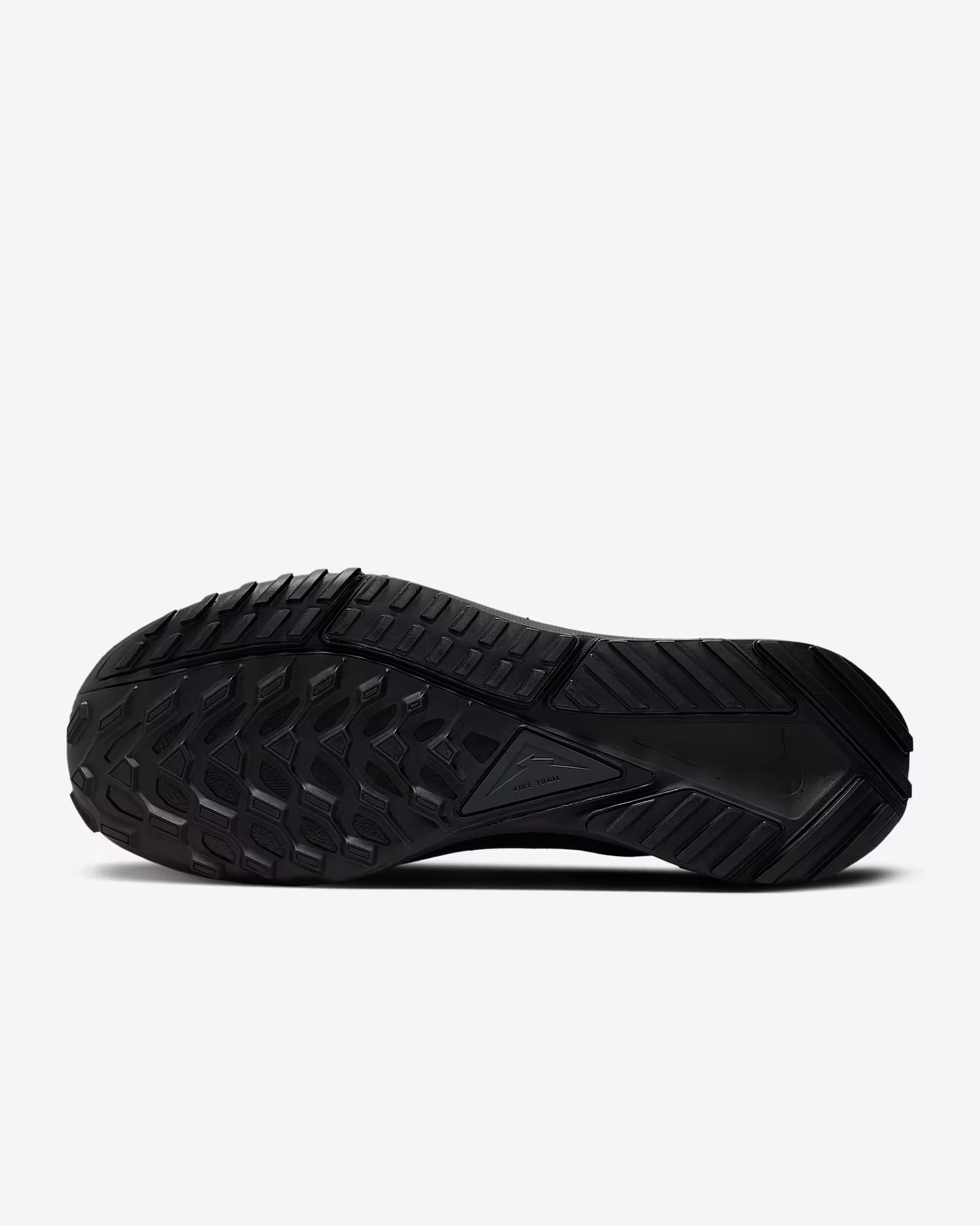 Nike Pegasus Trail 4 GORE-TEX Black